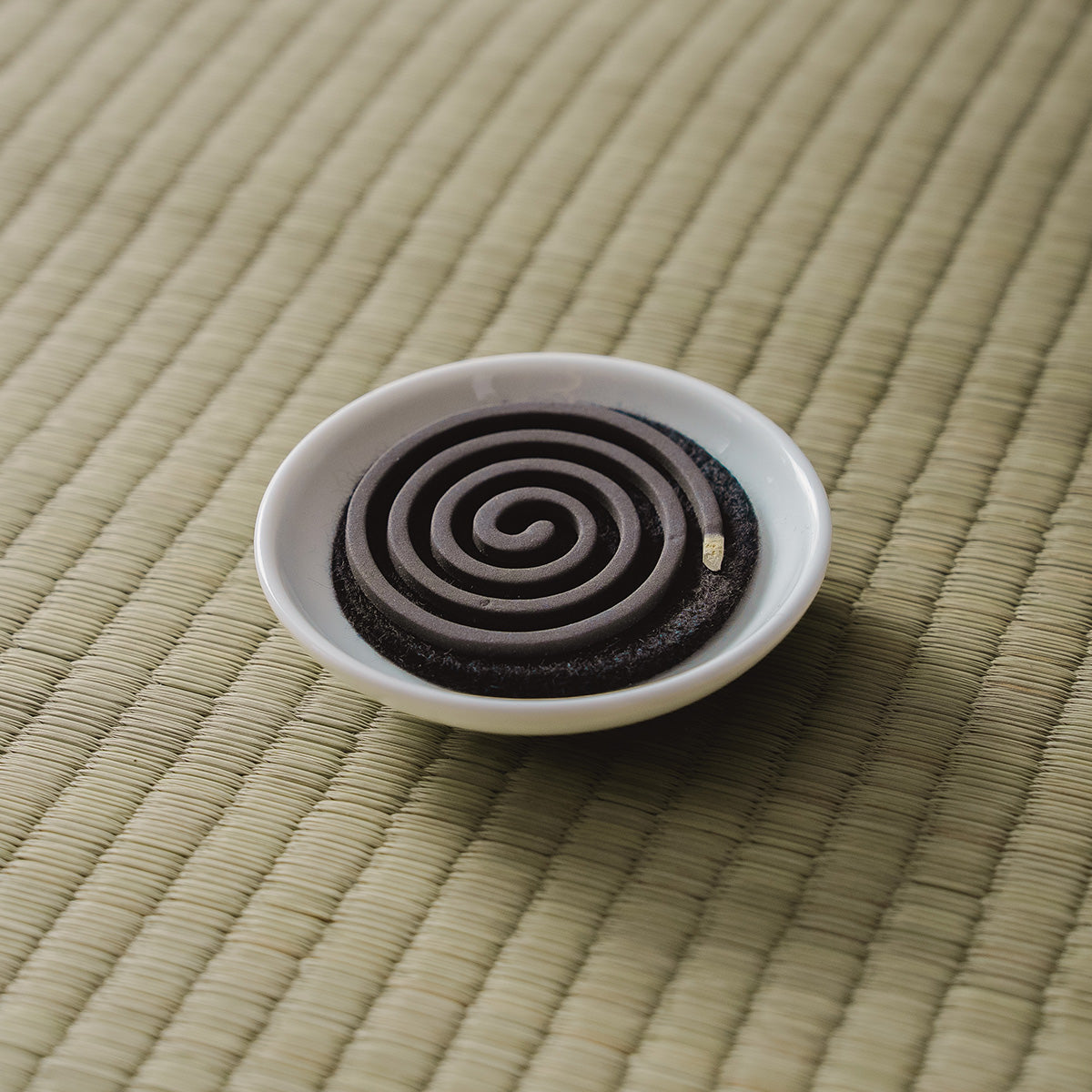 Camphor Incense Gift Set – 10 Coils with Plate and Mat
