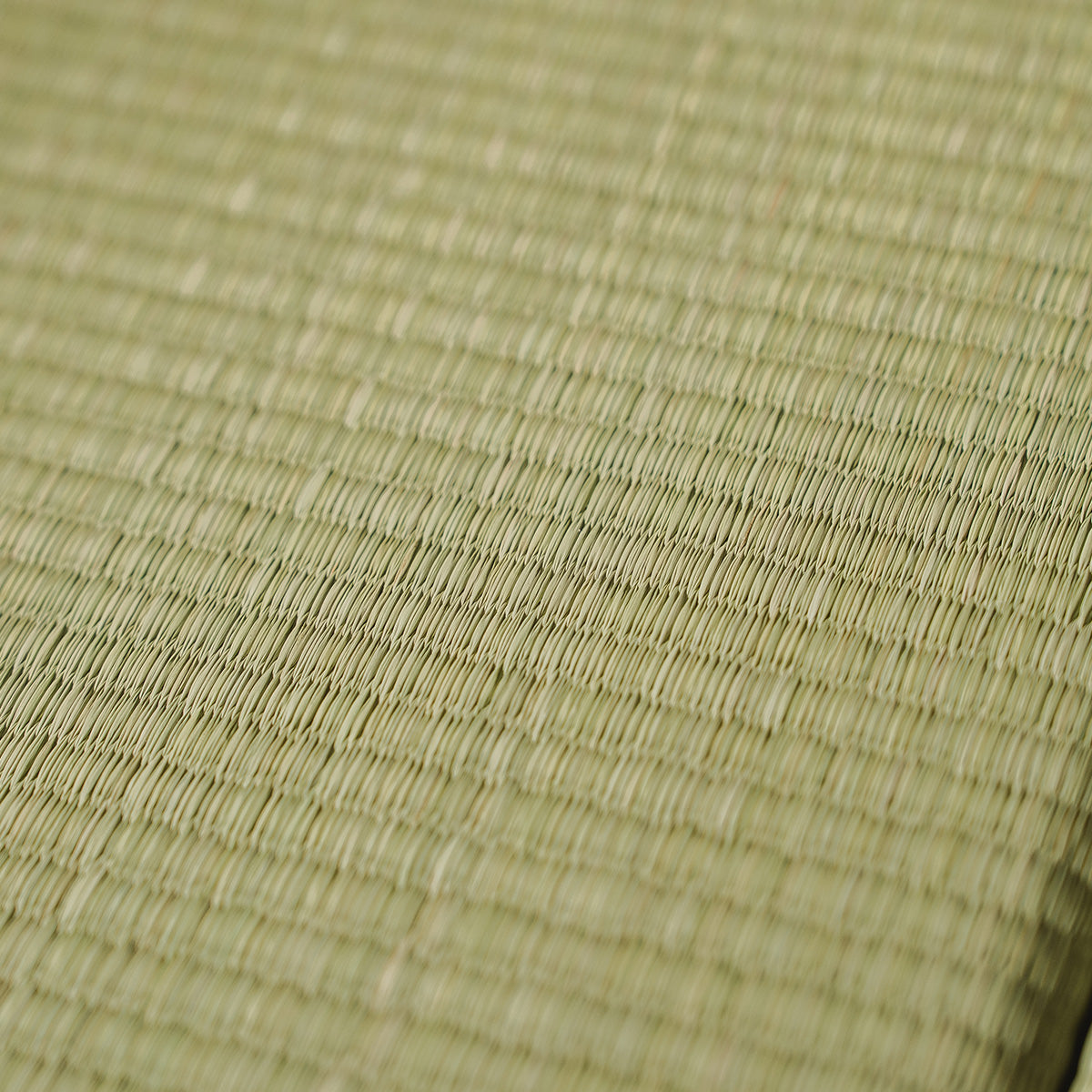 Modular Placement Tatami – Nene, Borderless