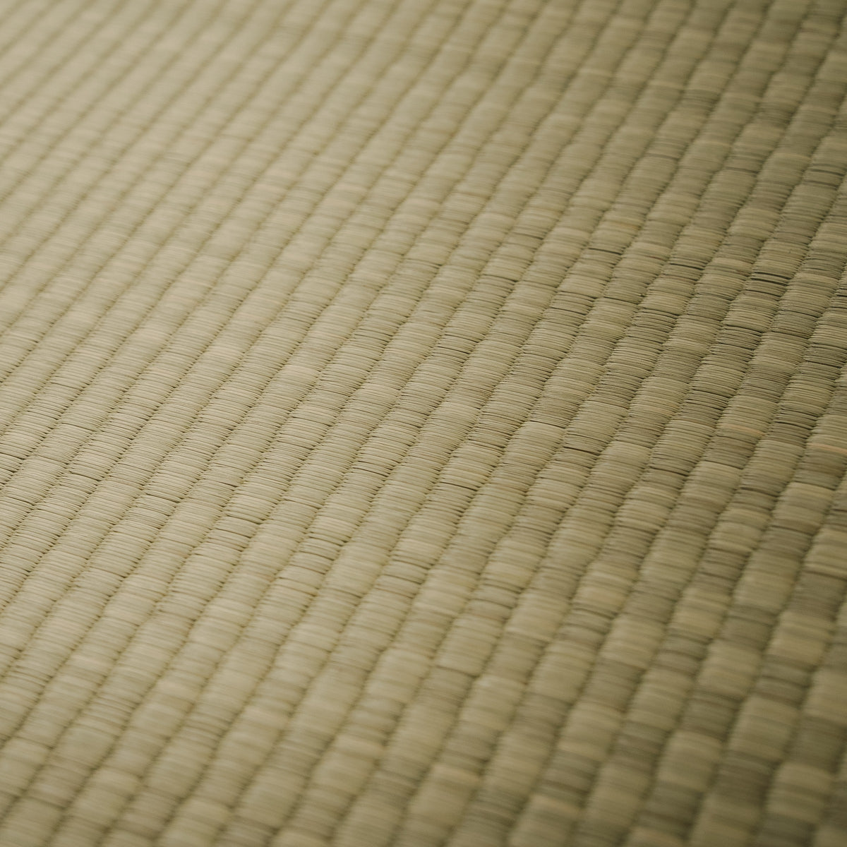 Igusa Tatami Carpet – Shiranui, Free-Cut