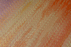 Japanese Natural Igusa Tatami Yoga Mat “Skysea"Nonslip TPE Backing 66×185 cm